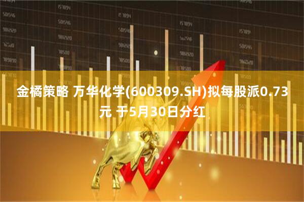 金橘策略 万华化学(600309.SH)拟每股派0.73元 于5月30日分红