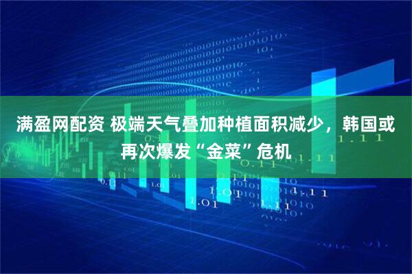 满盈网配资 极端天气叠加种植面积减少，韩国或再次爆发“金菜”危机