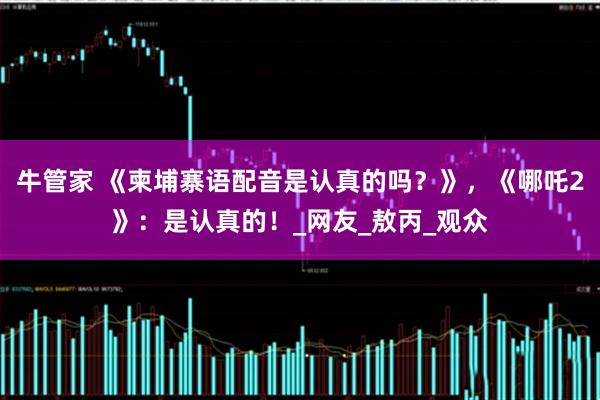 牛管家 《柬埔寨语配音是认真的吗？》，《哪吒2》：是认真的！_网友_敖丙_观众