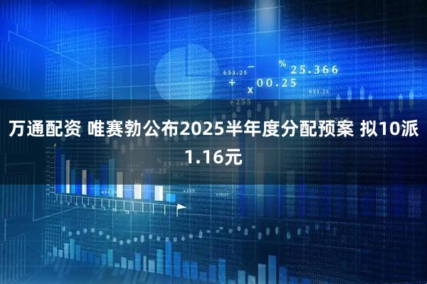 万通配资 唯赛勃公布2025半年度分配预案 拟10派1.16元