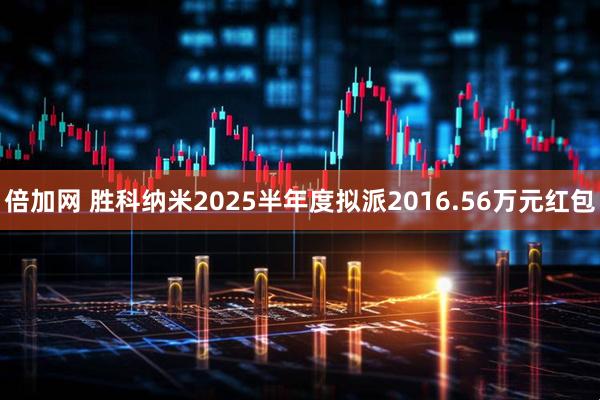 倍加网 胜科纳米2025半年度拟派2016.56万元红包