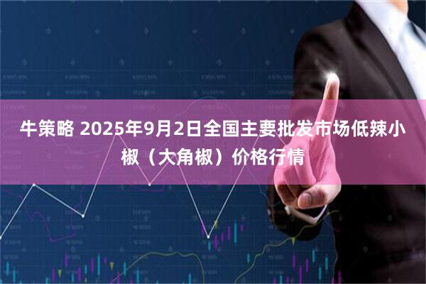 牛策略 2025年9月2日全国主要批发市场低辣小椒（大角椒）价格行情