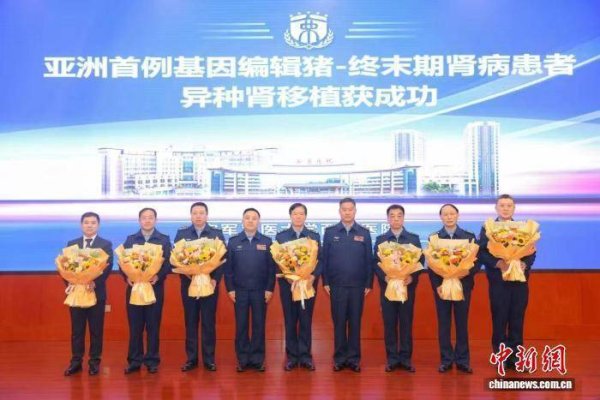 鼎合网配资 突破200天 亚洲首例异种肾移植再次刷新纪录